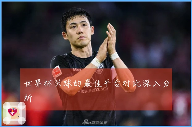 世界杯买球的最佳平台对比深入分析