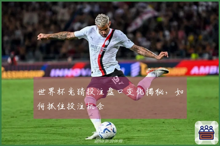 世界杯竞猜投注盘口变化揭秘，如何抓住投注机会
