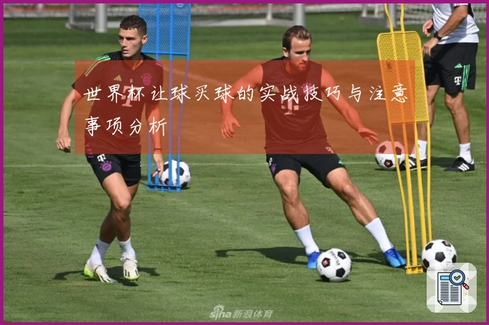 世界杯让球买球的实战技巧与注意事项分析