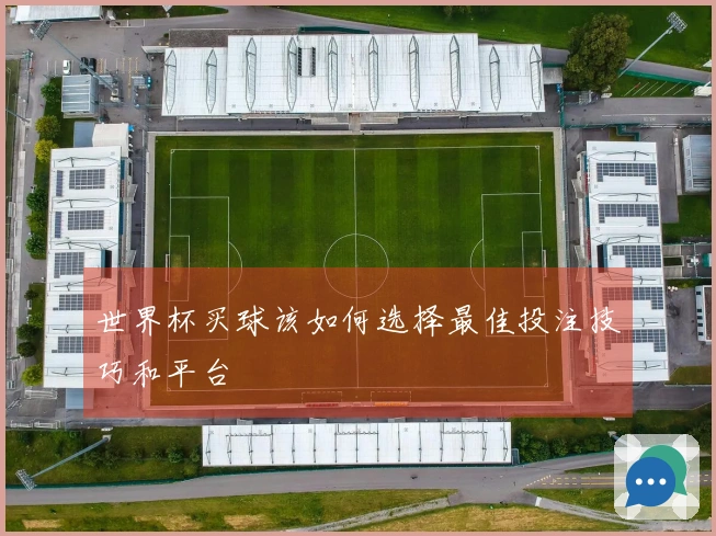 世界杯买球该如何选择最佳投注技巧和平台