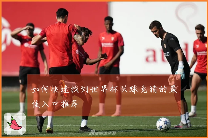 如何快速找到世界杯买球竞猜的最佳入口推荐